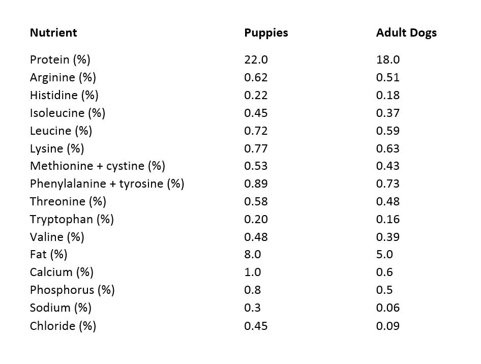 Puppy Food Portions Chart