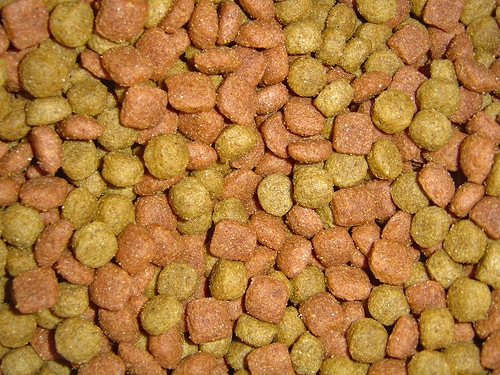 Get dog food compare prices