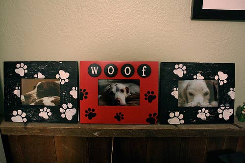 Dog photo frames, best friend dogs, fur babies, dog kids, love dogs