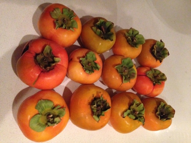 persimmon, fruit that are good for pets