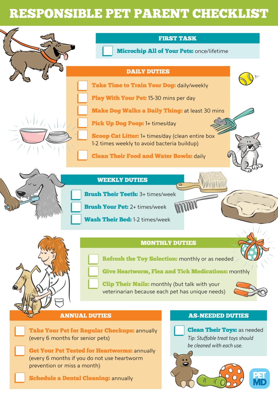 How To Take Care Of Pets For Preschoolers