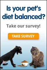 Pet Food Survey
