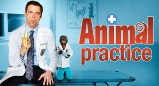 animal practice, tv doctor, tv veterinarian, animal tv show