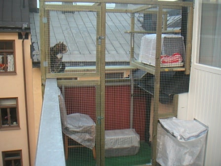 indoor-outdoor cats, outdoor cats, indoor cats, outdoor space for cat, cat enclosure, outside room for cat, keeping outdoor cat safe