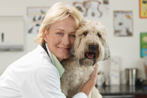 Τι φροντίδα προτείνουν οι κτηνίατροι για τα κατοικίδια;