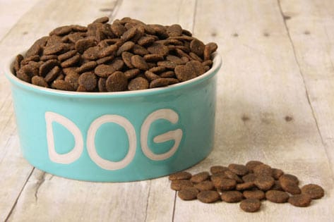 The Barf Diet For Dogs: It Is Not What Choice
