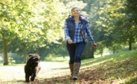 Exercising with Your Dog 101