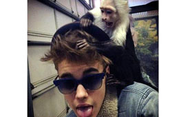 Bieber's Pet Monkey Becomes 'German'