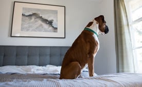 Beating the End of Summer Blues