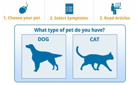 petMD Symptom Checker