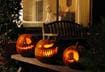 Five Ways to Celebrate Halloween with Your Dog