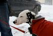 3. Winter Coat