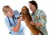#1 Practice Preventive Care