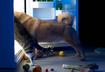 #1 Open the Refrigerator