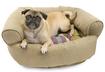 #2 New Dog Bed