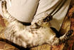 # 1 Beauty Sleep