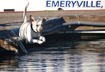 #5 Dock Jumping