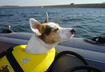 #2 Boating