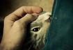 #9 …Yet Cuddly