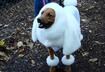 #5 It's a Dog as Dog World