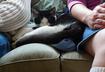 #4 Perfect Couch Potato Companion