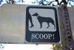 #3 Puppy Pads and Pooper Scoopers