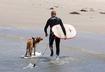 #9 Surfing