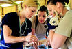 #2 Veterinarians