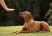 #6 Bond Over Good Behavior