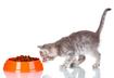 #5 Change in Appetite