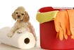 #5 Don’t Forget the Household