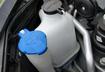 Avoid Antifreeze
