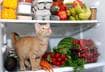 Vitamins