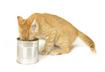 #8 Break Out the Can Opener