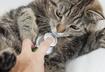 #2 Changes in Bathroom Habits