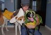 #2 Try on pet costumes before the big night