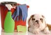 Top Ten Signs of Cancer in Pets