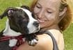 Top Ten Ways to Appreciate Your Dog