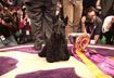 Ten Most Common Breed Winners for Westminster Kennel Club's Best in Show