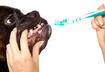 3. Toothache