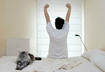 #6 Cats are Living Alarm Clocks