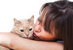 How to Identify Common Problems in Senior Cats