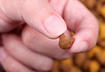 Think Small