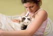 How to Read a Cat Food Label