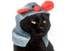 #9 Cats Make Us Crack Up