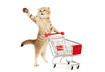 5 Ways to Choose Quality Natural Pet Food
