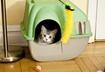 #7 You Won’t Need To Housebreak Them