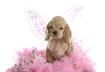 Girl Name #2 - Abby