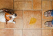 2. Evidence of 'Accidents'
