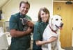 3. Consult Your Veterinarian